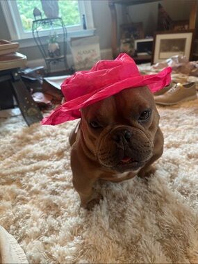 Bright Pink Sun Hat - Unbranded